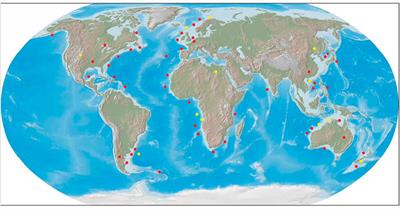 A Review of the Global Polygonal Faults: Are They Playing a Big Role in Fluid Migration?